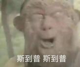 微信送礼红包区别_微信小蓝包送礼功能_空包网和礼品代发哪个好