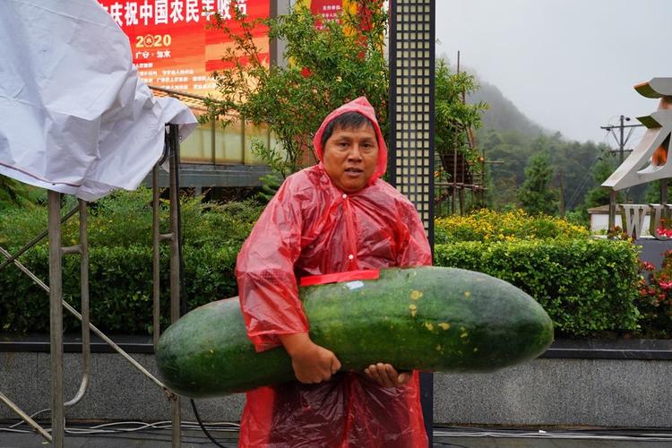 空包_虚假交易 刷单合同纠纷 电商平台诚信