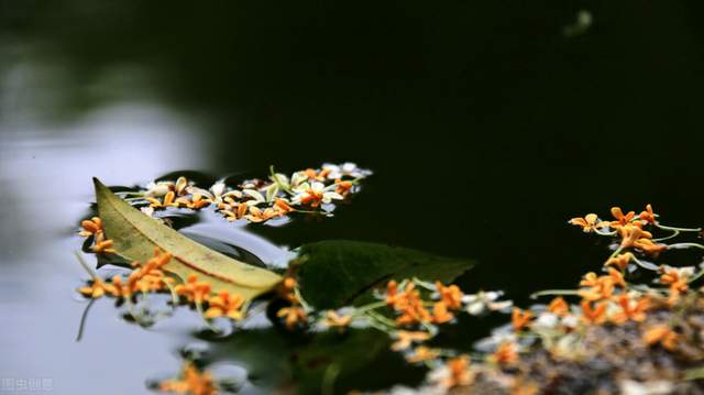 抖音小店无货源靠谱货源平台_1688货源平台推荐_电商小礼品一件代发平台