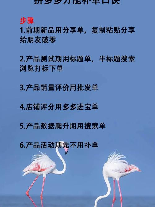 礼品代发平台_淘宝礼品代发_拼多多礼品代发_淘宝ab单代发礼品